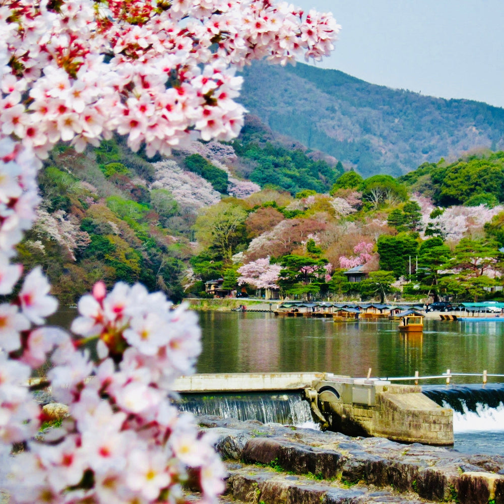 
                  
                    Braccialetto Con Tessuto Kimono Verde (Sakura). Città di Kyoto
                  
                