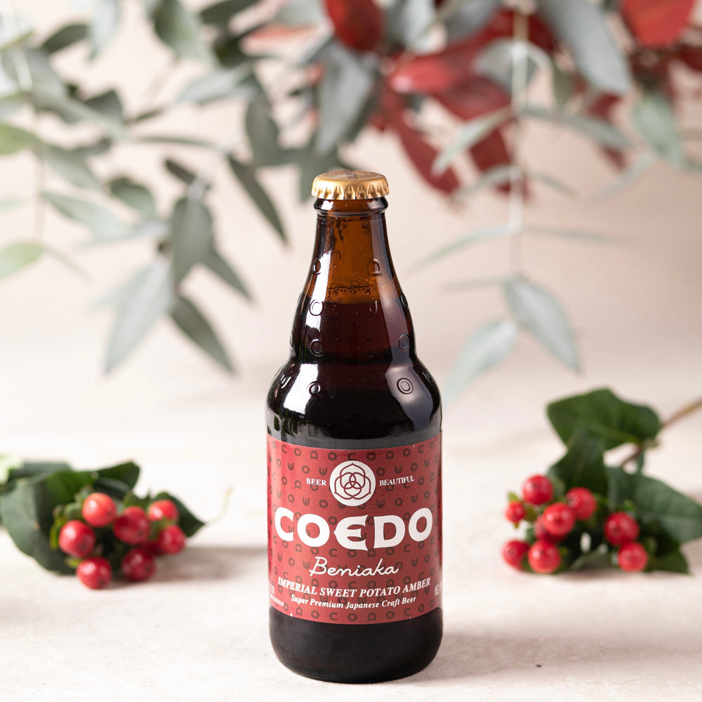 Birra Artigianale Lager Coedo Beniaka Sweet Potato - Coedo (333ml) | Todoku Japan